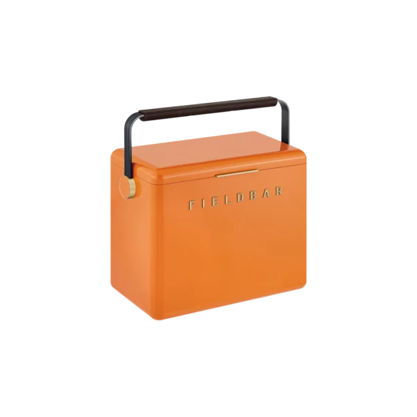 Gin Trunk / Orchard Orange