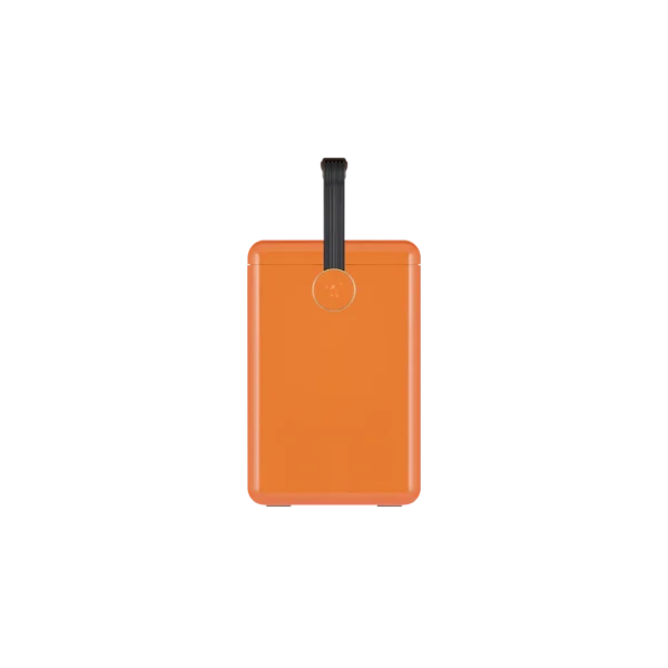 Gin Trunk / Orchard Orange